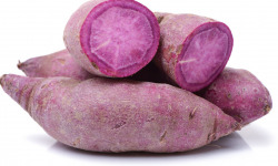 Nature et Saveurs - Ferme Aquaponique et Permacole Astérienne - Patate douce violette – L’originalité colorée de l’automne