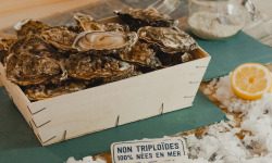 Thalassa Tradition - Huîtres Spéciales N°2 Isigny - 48 pièces
