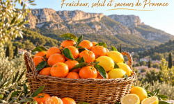L'OLIVERAIE DU COUDON - PANIER AGRUMES – 5 KG DE CLÉMENTINES ET 2 KG DE CITRONS