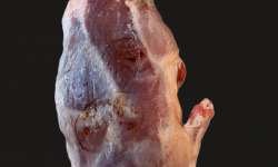 La Guyotte Ferme Bressane - Demi chevreau 5,5kg