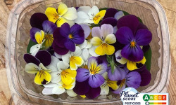 Les Nouvelles Fermes - Fleurs de pensées comestibles (boite de 40 fleurs)