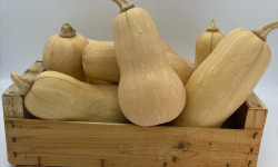 Le Panier du Producteur - Butternut - 1kg