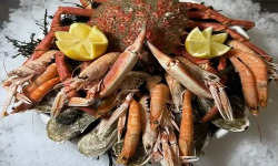 Brest Marée - Assiette de Fruits de Mer