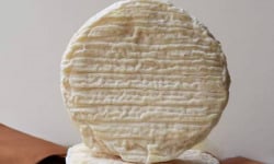 Fromagerie des Cabasses - Le Pérail - Lait cru de brebis - 150 g