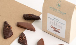 Aurélien Plassard Chocolatier - Mélange orangette/citronette