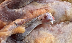 Ferme de la Paumerais - SUPREME DE PINTADE - 1 Kg (x4)