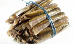 Saint Kerber - Cancale - Couteaux 3kg petit
