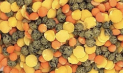 L'OLIVERAIE DU COUDON - LENTILLES TRIO BIO – PAQUET 500 G