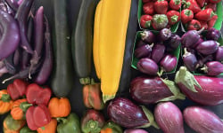 ChâteauFer - Panier gueleton