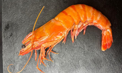 L'atelier des poissonniers - Gambas de Madagascar Sauvage