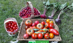 LES JARDINS DE KARINE - PANIER modulable de fruits et légumes ROUGES d'AUTOMNE