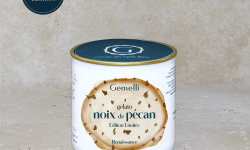 Gemelli - Gelati & Sorbetti - Glace noix de pécan lot 12 X 100ml