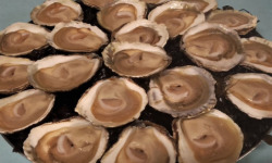Aux Viviers de Penfoulic - Huîtres Plates N°3 - 6 Douzaines