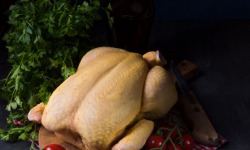 La Maison Pourthié - Chapon env 4,6kg
