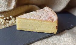 Dégustonfoin - [Précommande] Tomme Fermière Bio l'Ermite - 250g