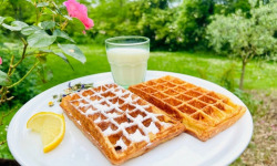 Ferme Sereine en Périgord - lot de 12 GAUFRES recette de BRUXELLES, déjà cuites, surgelés