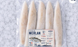 Mon Petit Poisson - Filets de merlan 1kg