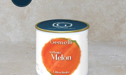 Gemelli - Gelati & Sorbetti - Sorbet  Melon  100ml - édition limitée