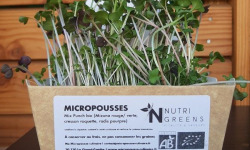 Ma Micropousse culinaire - Micro pousses Mix Punch bio 4 barquettes