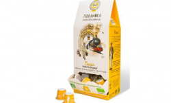 TERRAMOKA - Café OSCAR x60 capsules Home Compost type Nespresso  x6