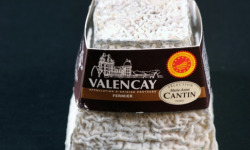 La Fromagerie Marie-Anne Cantin - Valencay AOP