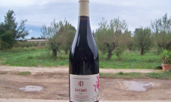 Domaine Pons Gralet - Vin Rouge IGP - Cotes Catalanes 2023 Bio x3