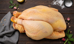 Ferme des Gravelines - [Précommande] (FÊTES !) Chapon BIO - 3,5kg-3,7kg