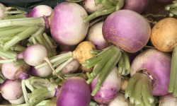 Ferme Sinsac - Navet violet ou jaune