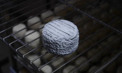 Alléosse Maitre Artisan Affineur Fromager - Cabri Cendré au lait cru