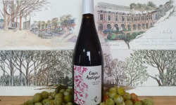 Cave Creuzet - Les Caves aux Caux - VSIG Rouge "Caux Antique" - Sans additif - Sans sulfites ajoutés - Lot de 6