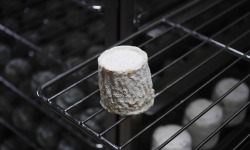 Alléosse Maitre Artisan Affineur Fromager - Chabichou du Poitou AOP au lait cru