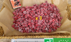 LES JARDINS DE KARINE - Framboise surgelée - 3kg