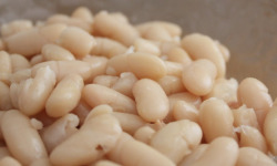 L’Oliveraie du Coudon - Haricots Blancs – Pot 540g