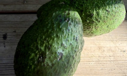 L'OLIVERAIE DU COUDON - AVOCATS A FAIRE MURIR 2 PIECES env 600gr PROMO