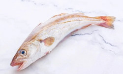 Poissonnerie La Piriacaise - Merlan entier 1 kg