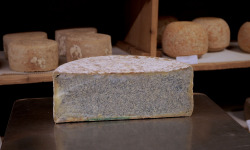 Alléosse Maitre Artisan Affineur Fromager - Bleu de Termignon d'Alpage