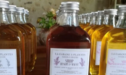 La Cabane à plantes - Sirop Hysope et Mauve 20cl
