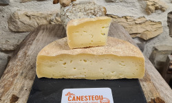 Lou Canesteou - Tomme de brebis Douboie 500g
