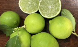 Les Hespérides - Coopérative de la Riviera Française - Lime de Tahiti 5kg