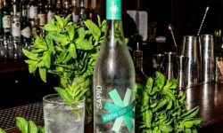 Sapio Spirits - Liqueur de Menthe BIO