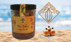 Chaloin Chocolats - Babas Rhum des îles