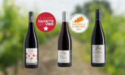 Domaine de la Chopinière du Roy - Coffret cadeau "A la découverte des vins rouges de Loire "- 3 x 75 cl