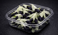 Nature et Saveurs - Ferme Aquaponique et Permacole Astérienne - Fleurs de sauge cassis – intensité végétale et contraste unique