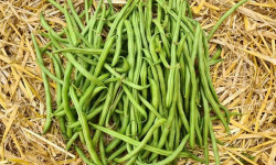 La Ferme de Goas Per - Haricot vert Bio - 250g