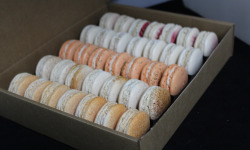 Les Macarondises - 35 Macarons Sucré-salés Prestige