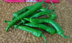 Elissalde Le Potager Basque - Piments Elissalde Basque Ultra-doux 100% Naturel 150 g