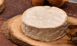 Fromage Gourmet - Camembert au lait cru 240g