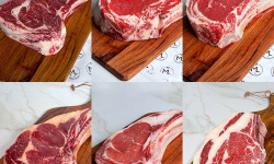 Maison Lascours - Coffret Découverte - Côte de Bœuf "Réserve" 6,1 kg