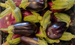 ChâteauFer - Aubergine Mix 1kg