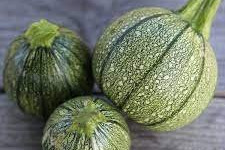 Les Jardins de Gérard - Courgette ronde Bio - 500 g